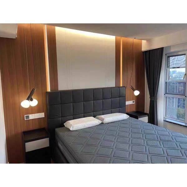 Fashion Contemporary Decorative Pendant Light Designer Chandelier Light Fixtures Pendant Ceiling