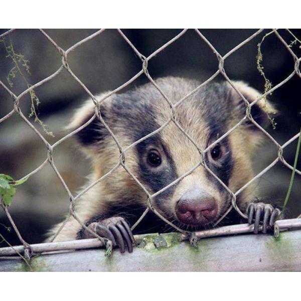 animal enclosure mesh