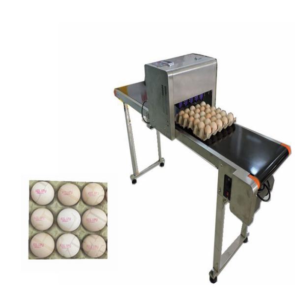 High Resolution Batch And Date Coding Inkjet Printer For Whole Plate Eggs