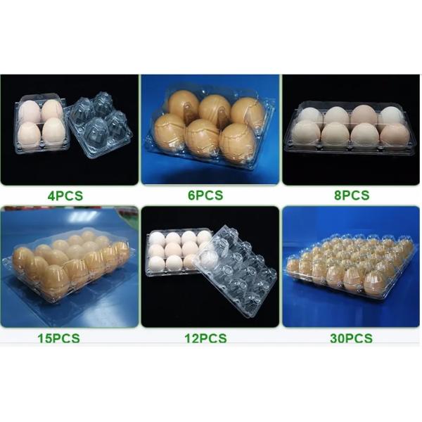 30 Hole PET PVC Plastic Egg Tray For Egg Packaging With Recyclable Material