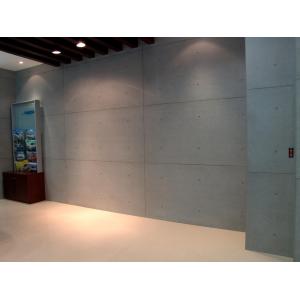 Wall Panel Piece with Waterproof Calcium Silicate Board Instant Materials
