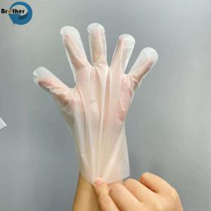 100% Biodegradable Transparent Disposable Waterproof Household Compostable