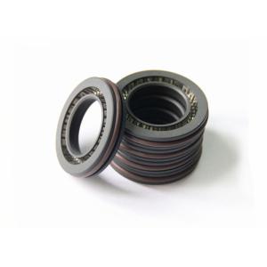Spring Energized Oil Lip Seal Chemical Resistance Long Duration For Automotive