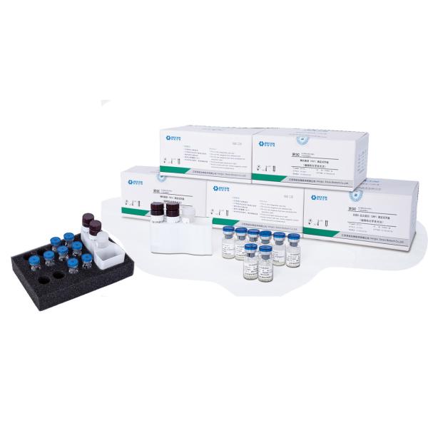 Infectious Disease Reagent Chemiluminescence Calibrator Kit HBsAg/HBsAb/HBeAg