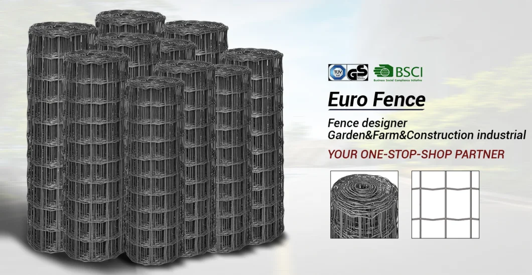 PVC Coated Galvanized Euro Fence Welded Wire Mesh for Poultry Animal Cage/Fence Panel