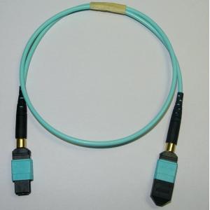 Plenum Jacket Female MTP MPO Fiber Elite Cable Assembly