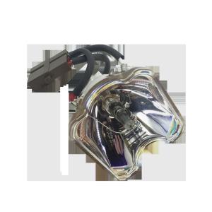 VT480 VT490 VT491 VT495 VT595 VT695 NEC Projector Bulbs