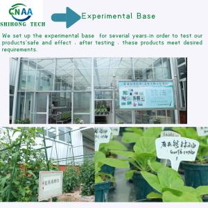 Calcium Magnesium Powder Amino Acid Chelate Mineral Element Fertilizer For