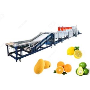 Orange Washing Waxing Drying And Grading Machine Fruit Cleaning And Waxing