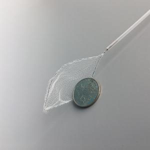 Endoscopic Disposable loop net for foreign body retrieval