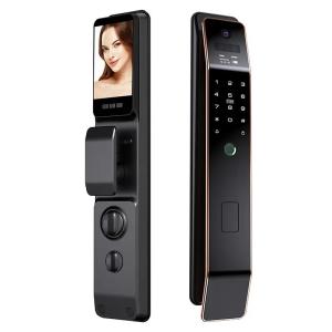 3D Facial Recognition High Security Room Intelligent Home Zinc Alloy Smart Door