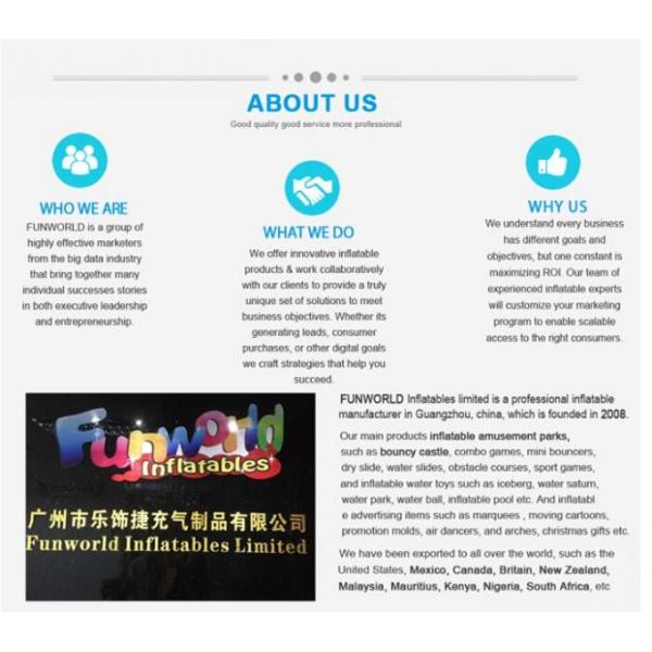 0.55 MM PVC Tarpaulin Crazy Long Water Slide City Giant Inflatable Water Slide