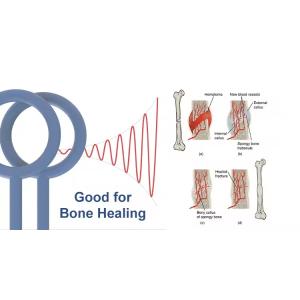 Pulsed Electromagnetic Field Reduce Inflammation Physio Magneto Pemf Magnetic