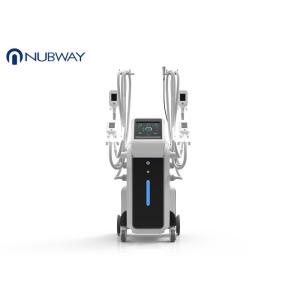 OEM and ODＭ service body slimming cryoliplysis fat reduction machine