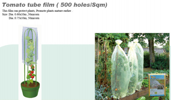 Buy PP NONWOVEN FABRC, WINTER COVER,MICRO-PERFORATED FILM,TOMATO TUBE FILM,GREEN FILM,MULCH FILM,REFLECT FILM,BIODEGRADABLE at wholesale prices