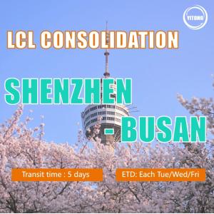 LCL Logistics From Shenzhen To Busan Korea