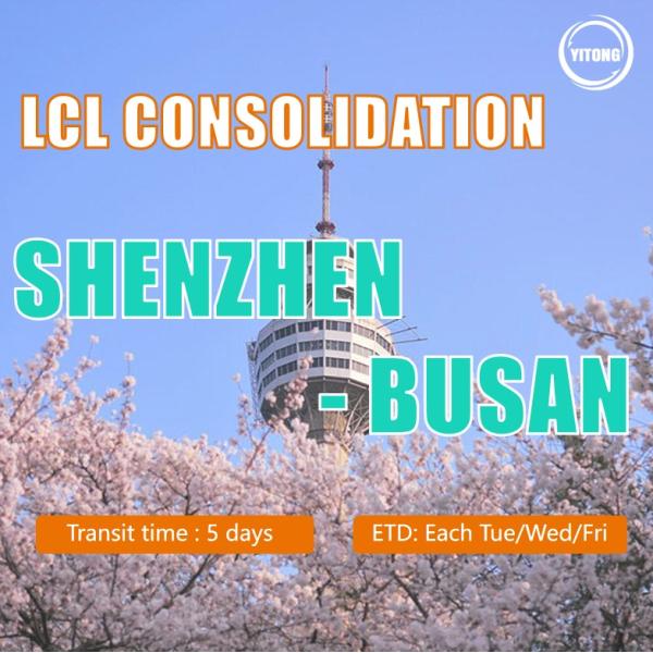Buy LCL Logistics From Shenzhen To Busan Korea at wholesale prices
