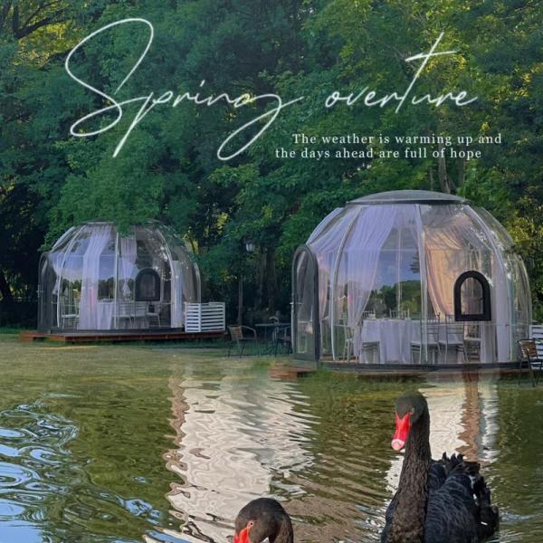 Buy Fashion Design Bubble Star Glass Dome House Event Party Tent PC Dome House at wholesale prices