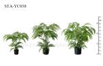 Greenery Artificial Fern Tree Unprecedented Authenticity Black Potted Plant