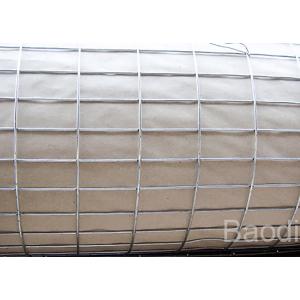 2x2 Galvanized Welded Wire Mesh Rolls Firm Structure For Garden Protection