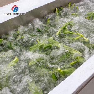 Vegetables bubblewashing machine Leaves Vegetables Onions Leafy vegetables