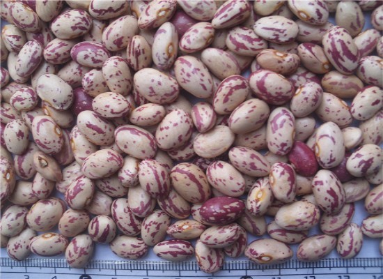 Multifunction Newest Software Kidney Beans Color Sorting Machine Beans Color Sorter