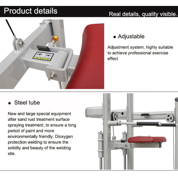 Assisted Dip Chin Strength Training Machine , Professional Matrix Bodybuilding Equipment