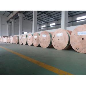 TP304 / 316L Seamless / Welded Stainless Steel Control Line tubing