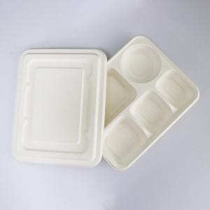 New item Compostable bagasse oblong 5 section compartment dinner Plate