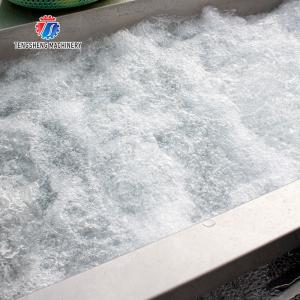 250KG Fruit and vegetable washing machine automatic sterilization washing