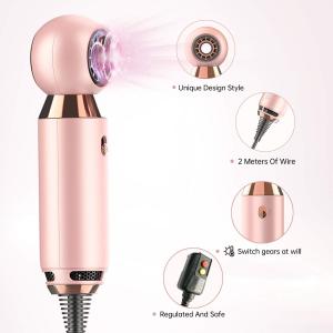 20*5cm Mini Moisturizing Electric 800W Portable Hair Blower