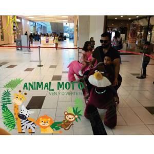 Hansel cheapest animal walking dinasour toy rides with coins