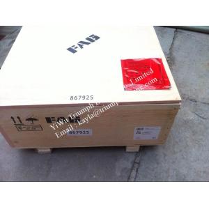 FAG Spherical Roller Bearing 24160-B