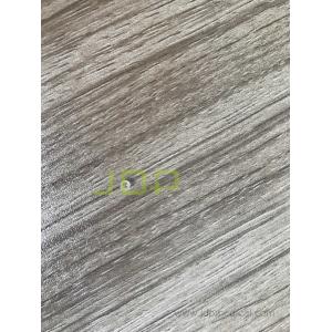 Olympus GIf-H260 objective lens