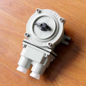 Hot Sale AC220V/380V Aluminum Alloy Explosion Proof Changeover Switch 5 Years