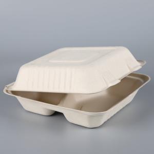 9 x 9" Sugarcane pulp biodegradable hinged large container