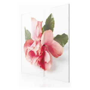 Quality glass wall transparent screen EXCEL LED for sale