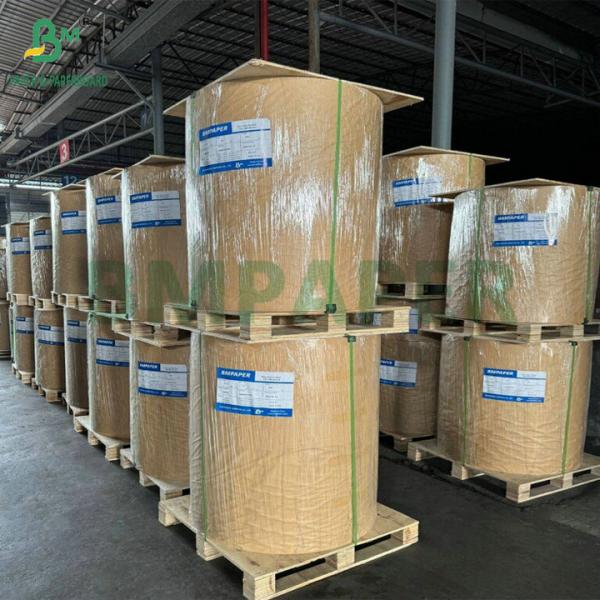 180g 200g Double PE Film Coating Kraft Paper For Making Ice - cold Foods Bowls 180g 200g Double PE Film Coating Kraft Paper For Making Ice - cold Foods Bowls