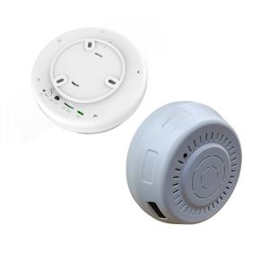 Tuya Night Vision Dummy Smoke Detector Security Camera , Battery Operated Nanny