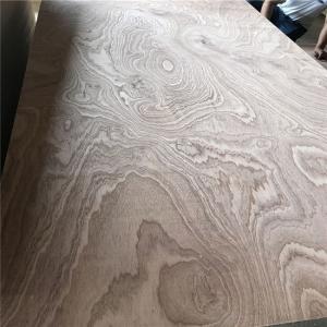 WBP Glue Sapele Faced Plywood