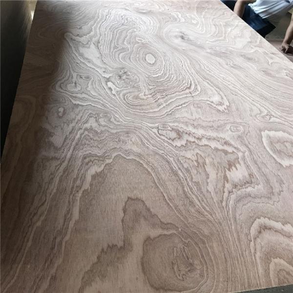 Buy WBP Glue Sapele Faced Plywood at wholesale prices