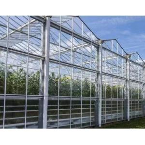 Good Light Transmission Glass Cover Venlo Greenhouse with Customization Option