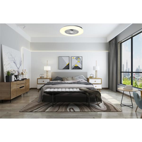 Ceiling Fan Light with Starlight Cover