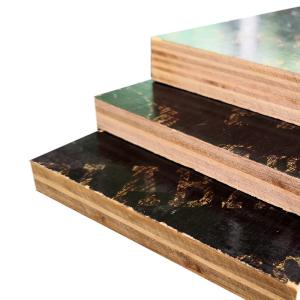 China 12mm Poplar Phenolic Faced Plywood For Building Construction on sale