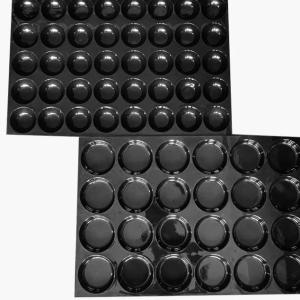 24 40 hole fruit tray plastic black PP PET display apple plastic tray