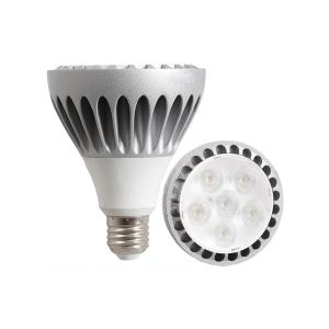 Quality E27 10W Silvery Led Home Lighting PAR30 LED Bulb Halogen PAR Lamps for sale