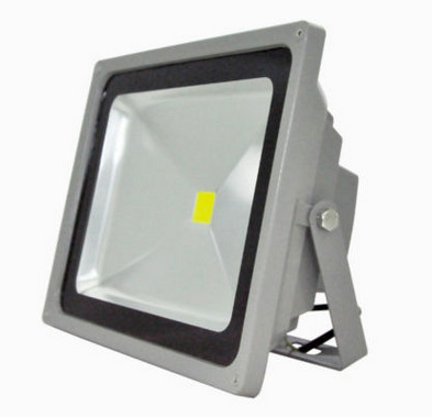 50w aluminum cob led flood light super bright waterproof IP67 LED garden