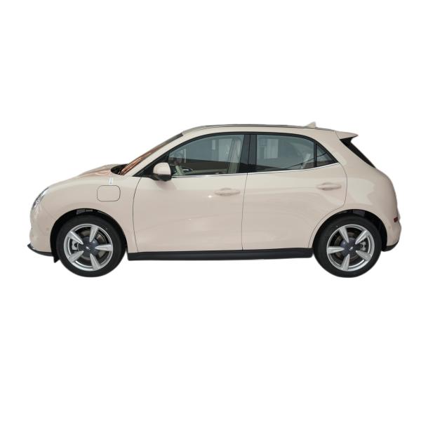 hot-selling 2022 Euler the good cat new energy car Pure electric 143 horsepower Single motor 59.1kwh Inventory sales