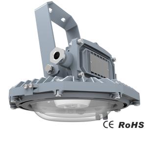 IP66 Waterproof Dustproof Industrial LED Flood Light 30W 60W Golden Frog