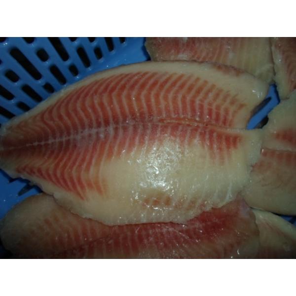 Buy Thailand Origin Fresh Frozen Seafood / Bulk Frozen Fish Tilapia Fillet at wholesale prices